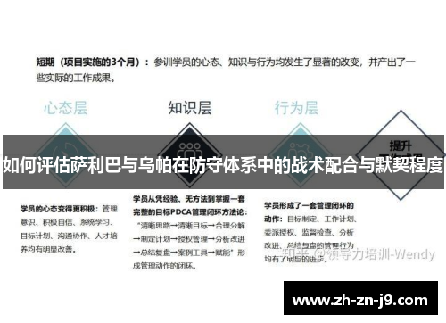 如何评估萨利巴与乌帕在防守体系中的战术配合与默契程度